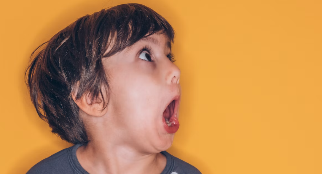 Anak Sering Marah dan Menangis? Kenali 3 Zona Emosi dan Cara Menghadapinya